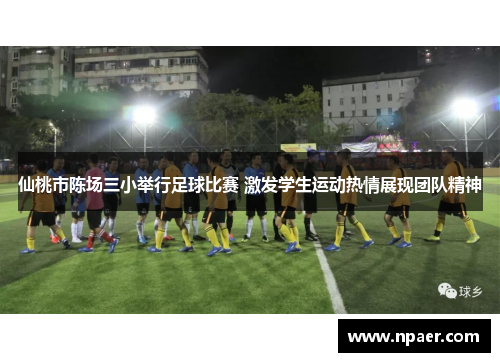仙桃市陈场三小举行足球比赛 激发学生运动热情展现团队精神
