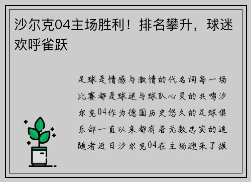 沙尔克04主场胜利！排名攀升，球迷欢呼雀跃